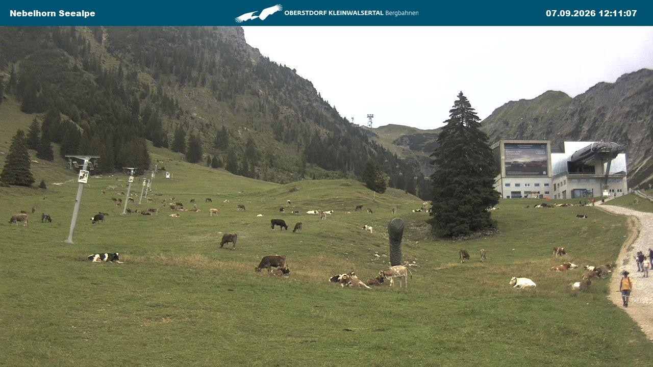 Archived image Webcam Cable car Nebelhorn station Seealpe