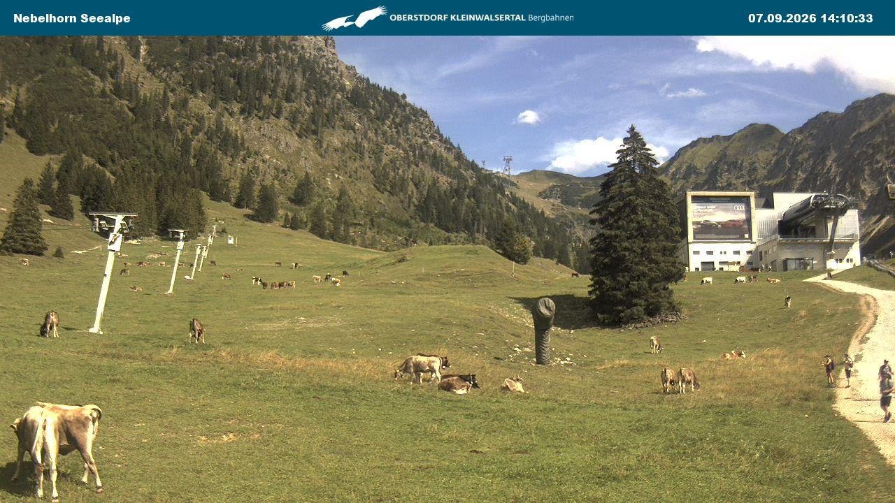 Archiv Foto Webcam Nebelhornbahn Mittelstation