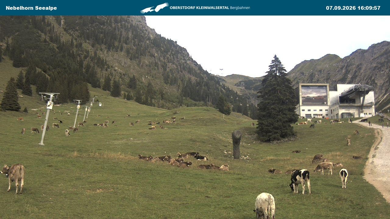 Archiv Foto Webcam Nebelhornbahn Mittelstation