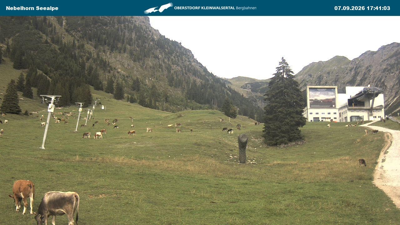 Archiv Foto Webcam Nebelhornbahn Mittelstation