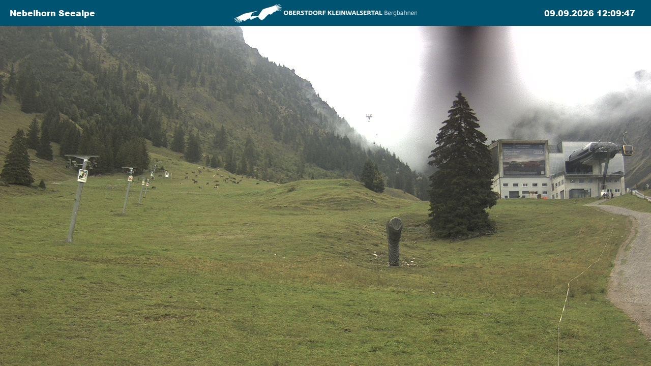 Archived image Webcam Cable car Nebelhorn station Seealpe
