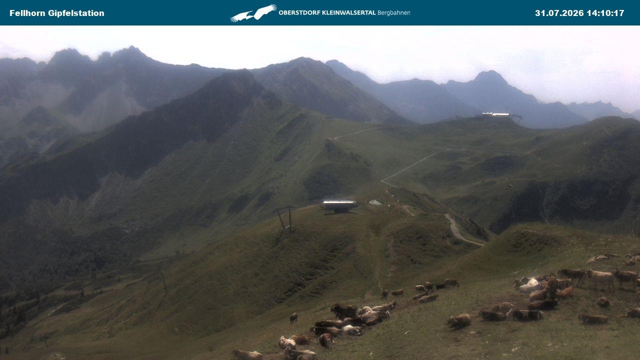 Archiv Foto Webcam Bergstation Fellhornbahn (1.967m)