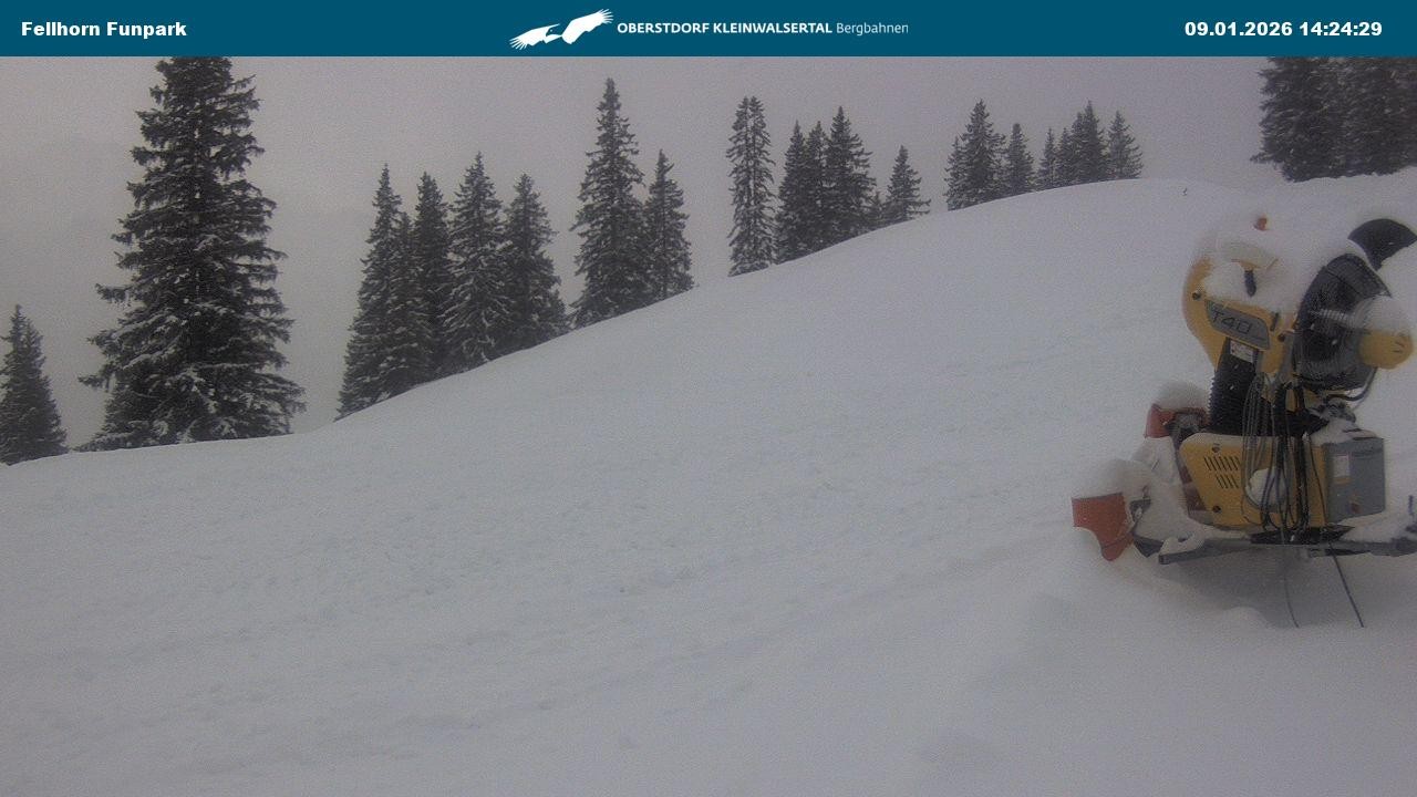 Archiv Foto Webcam Funslope / Fellhorn