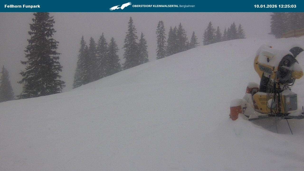 Archiv Foto Webcam Funslope / Fellhorn