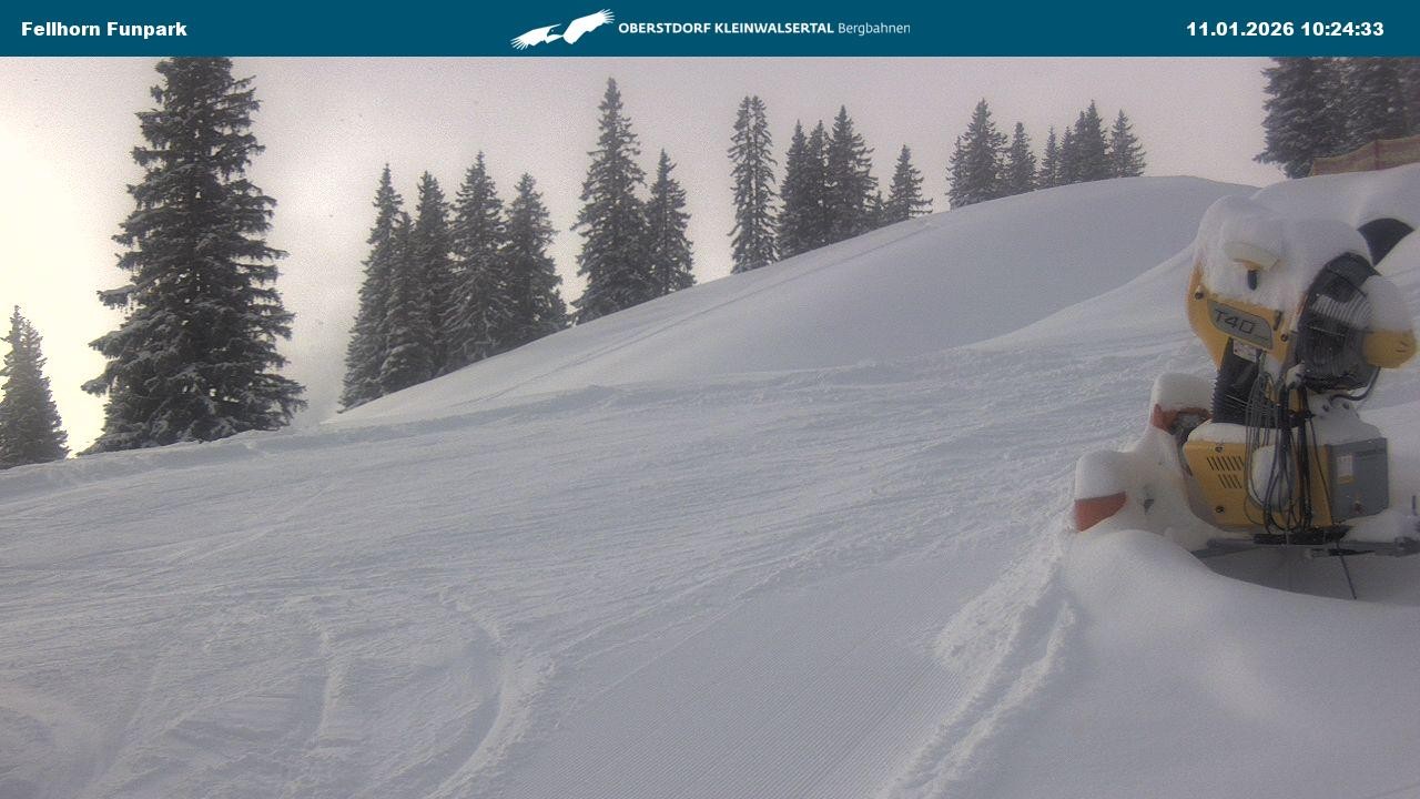 Archiv Foto Webcam Funslope / Fellhorn