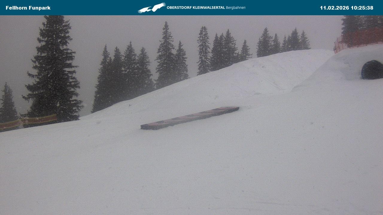 Archiv Foto Webcam Funslope / Fellhorn