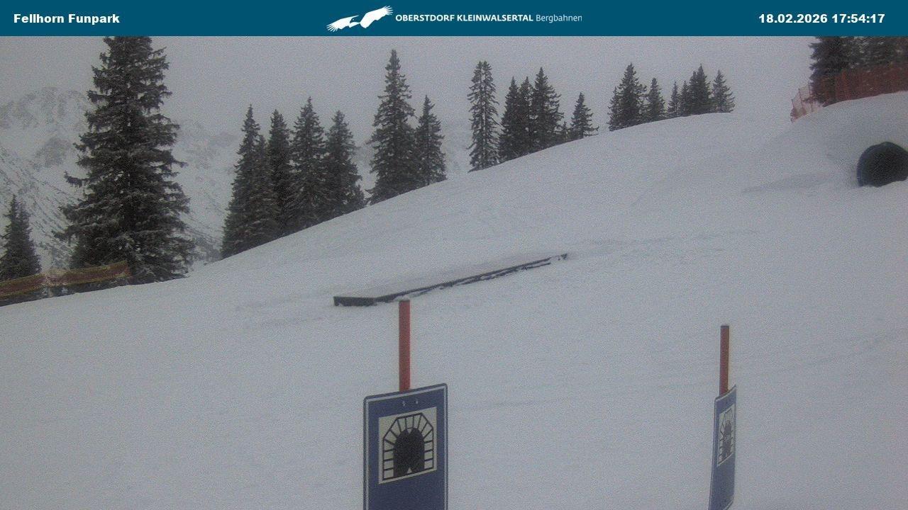 Archiv Foto Webcam Funslope / Fellhorn