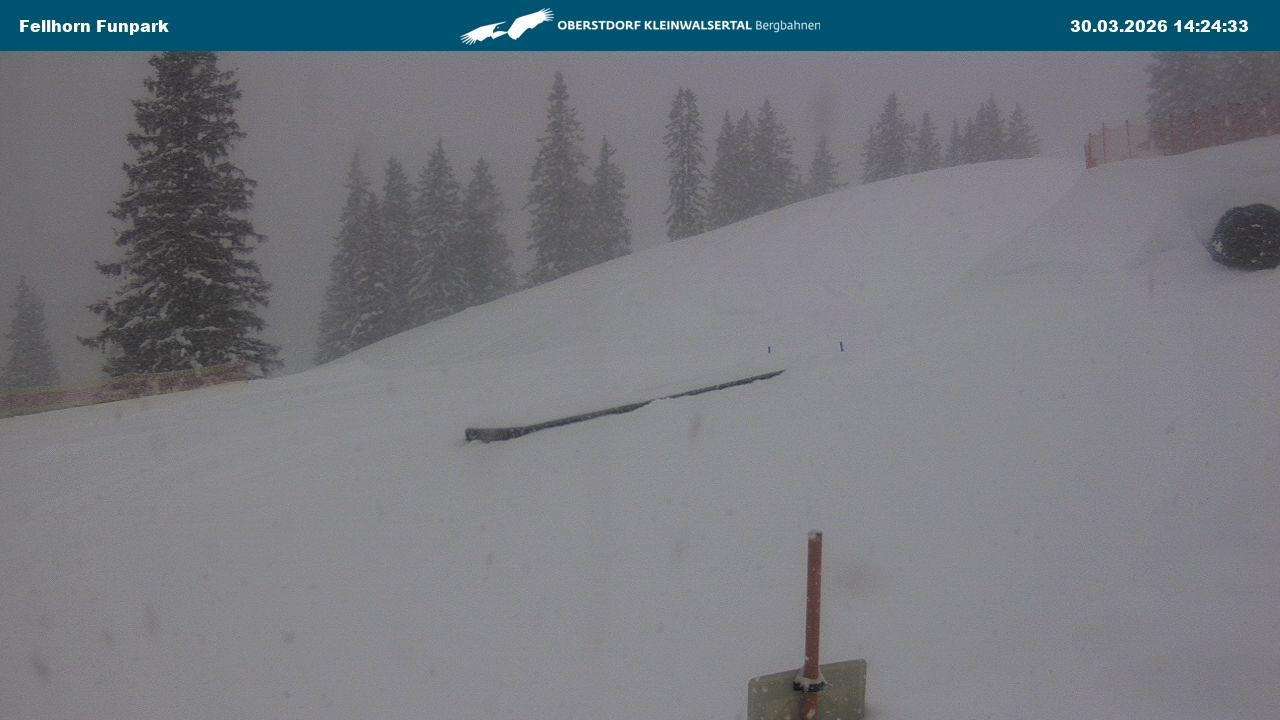 Archiv Foto Webcam Funslope / Fellhorn