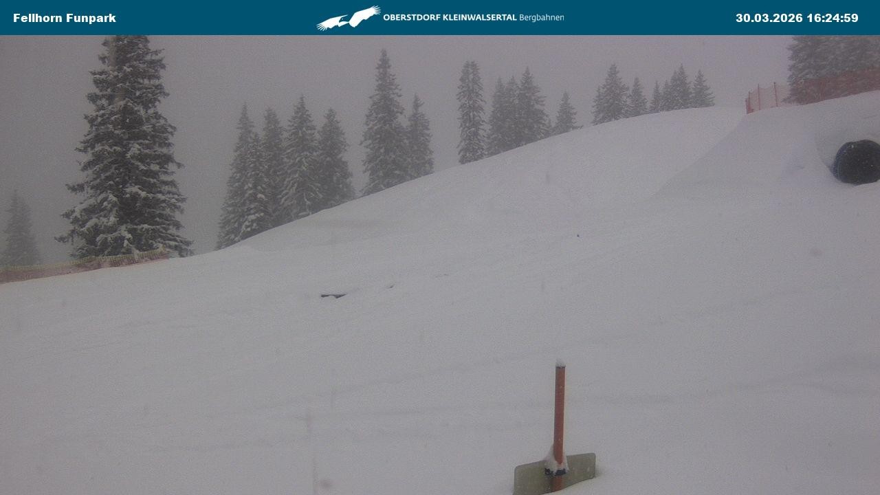 Archiv Foto Webcam Funslope / Fellhorn