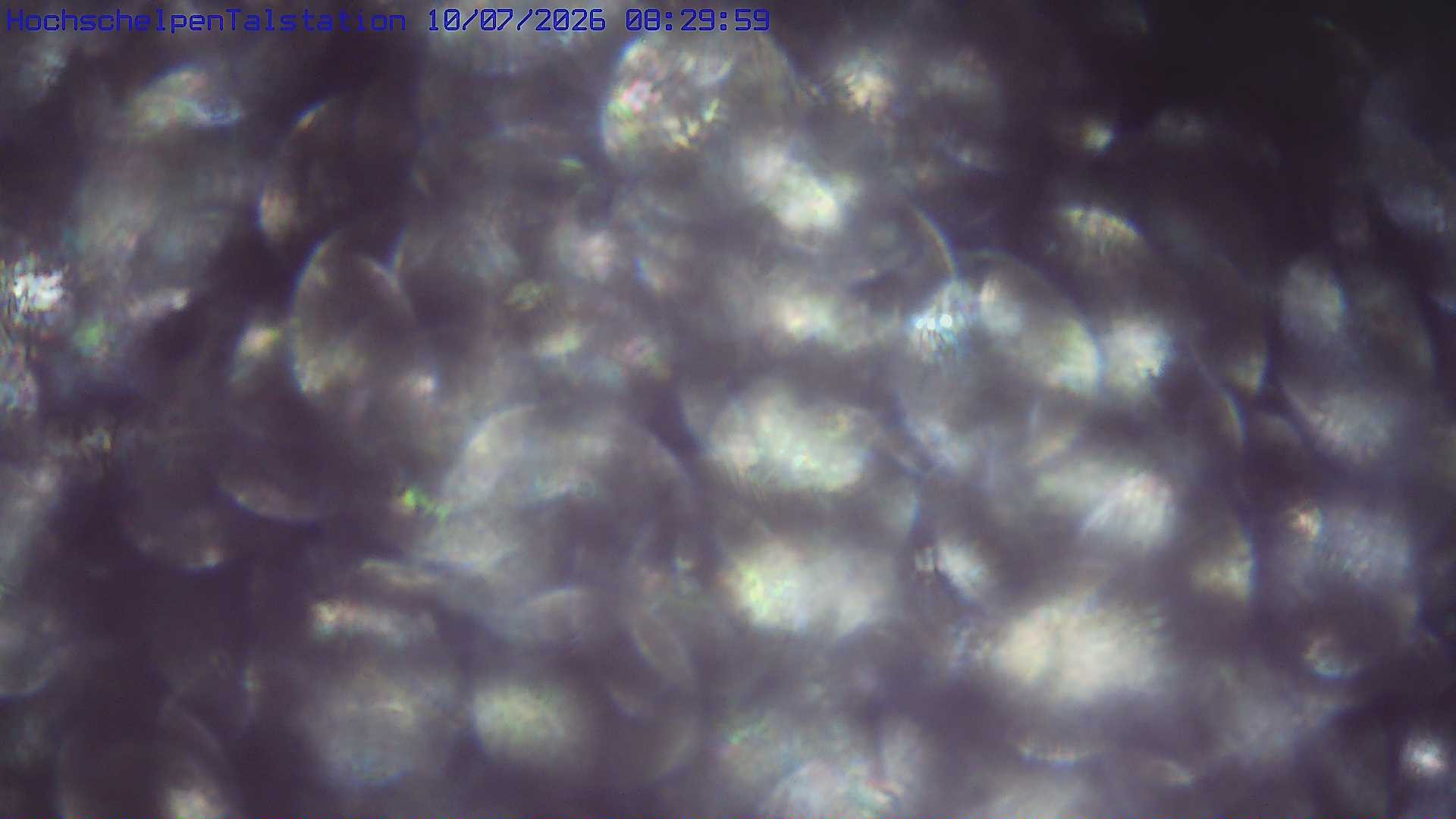 Archiv Foto Webcam Hochschelpenlift, Balderschwang