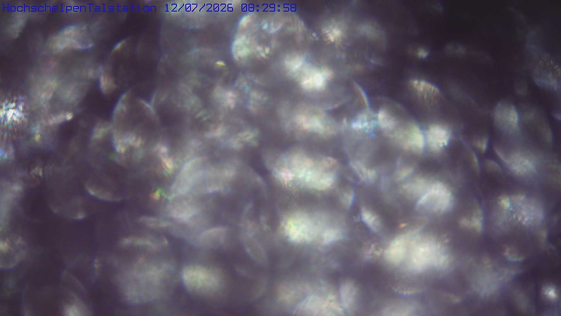 Archived image Webcam Balderschwang, base station Hochschelpenlift