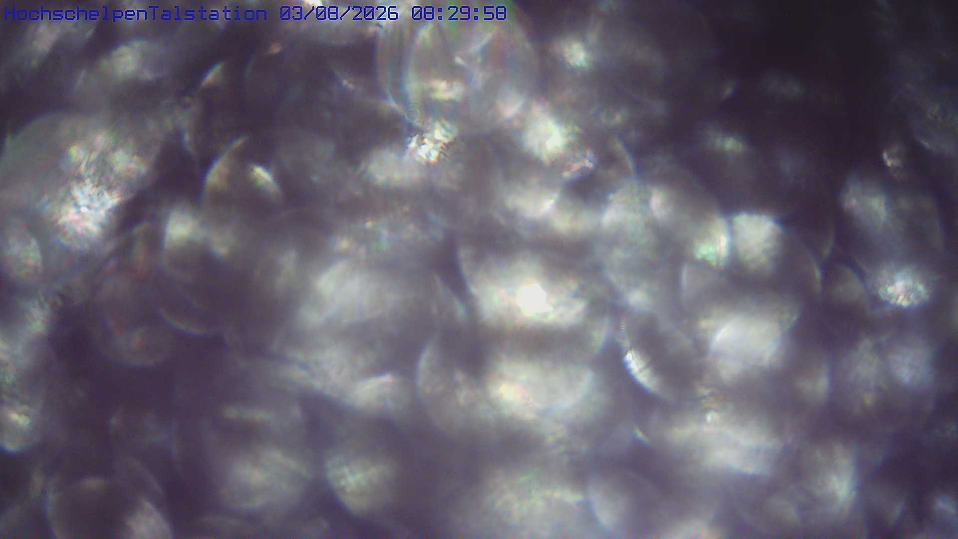 Archiv Foto Webcam Hochschelpenlift, Balderschwang