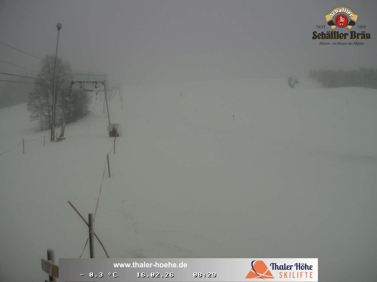 Archiv Foto Webcam Thalerhöhe bei Immenstadt