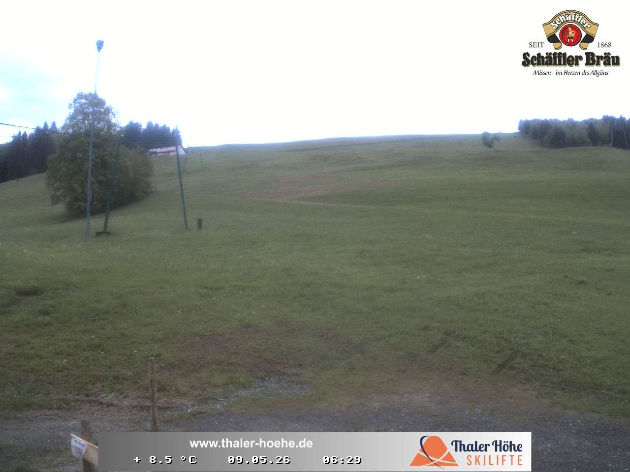 Archiv Foto Webcam Thalerhöhe bei Immenstadt