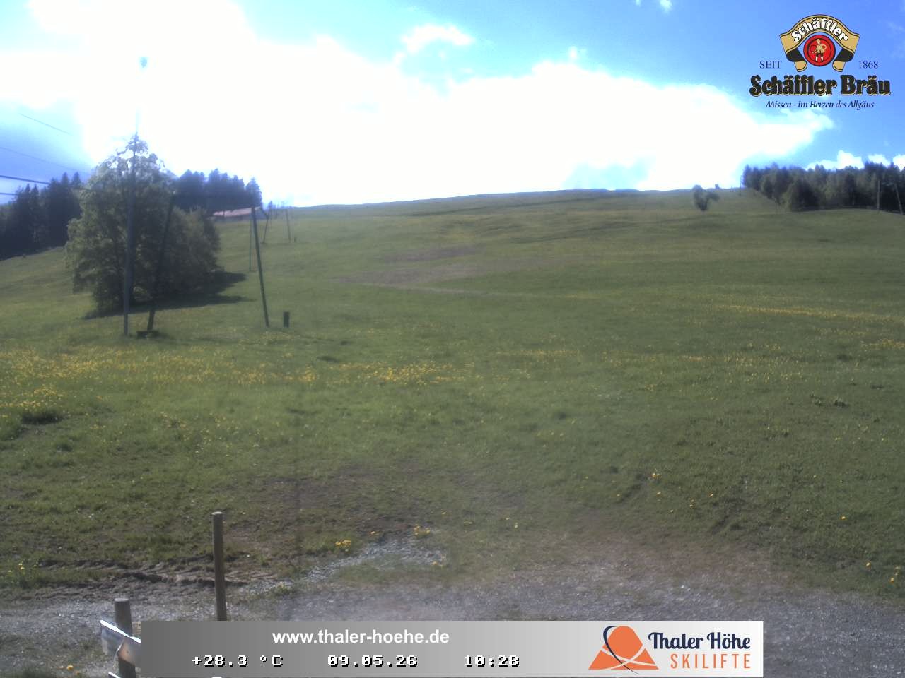 Archiv Foto Webcam Thalerhöhe bei Immenstadt