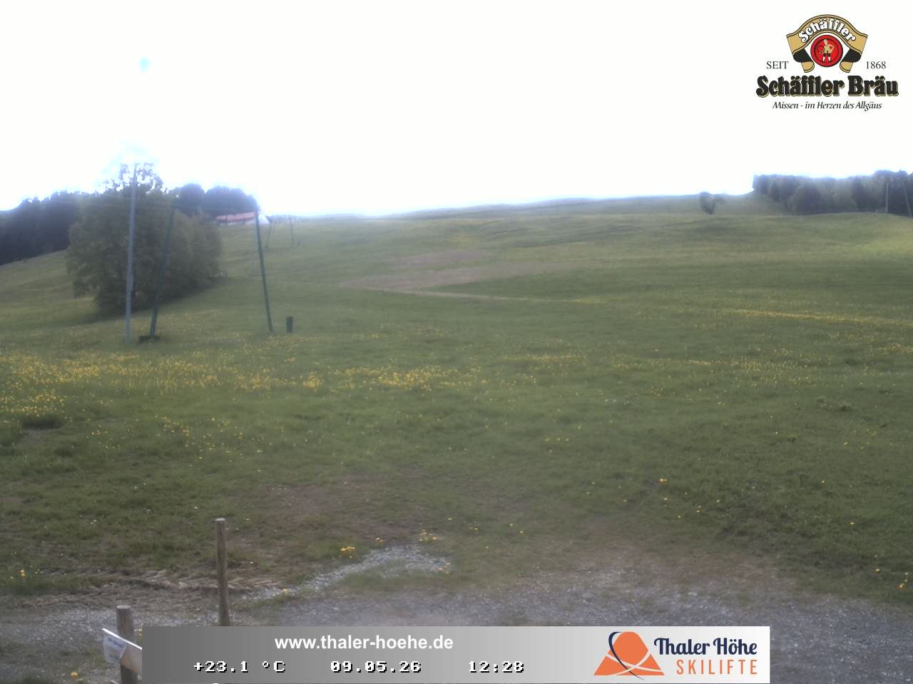 Archiv Foto Webcam Thalerhöhe bei Immenstadt