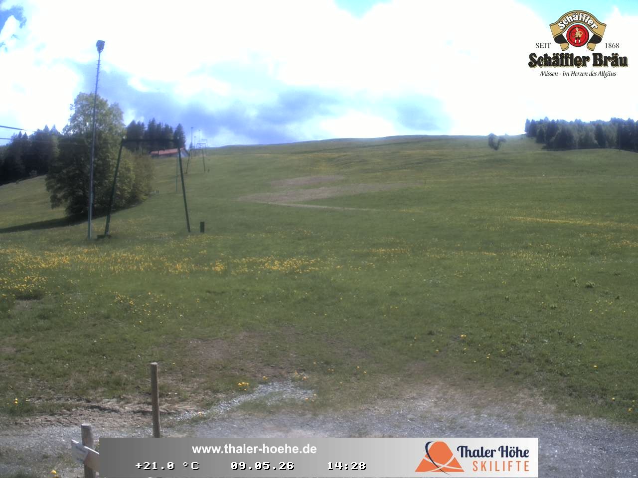 Archiv Foto Webcam Thalerhöhe bei Immenstadt