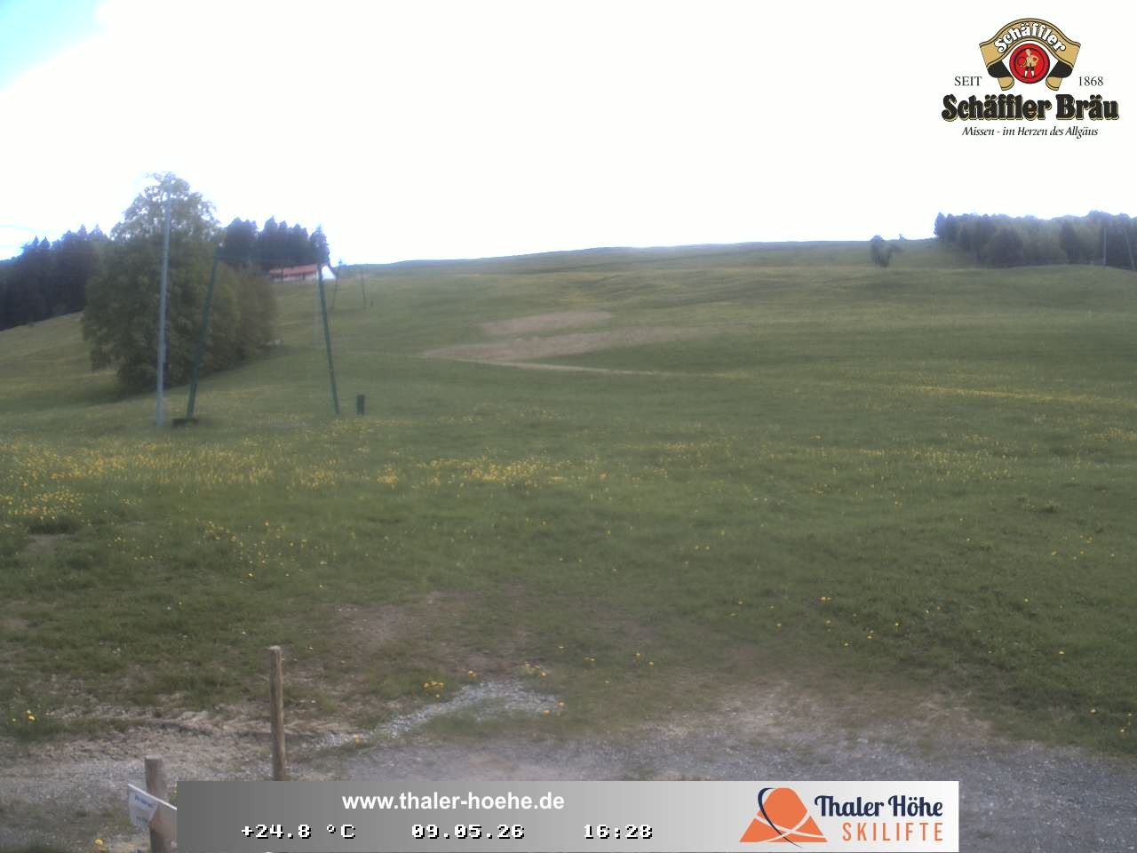 Archiv Foto Webcam Thalerhöhe bei Immenstadt