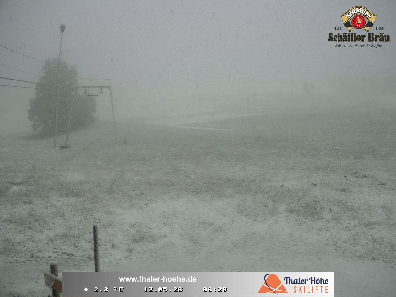 Archiv Foto Webcam Thalerhöhe bei Immenstadt