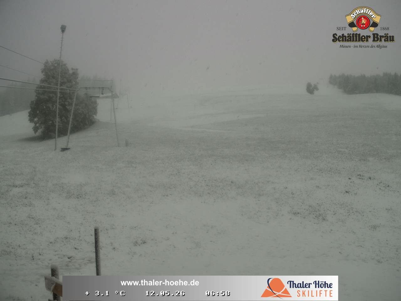 Archiv Foto Webcam Thalerhöhe bei Immenstadt