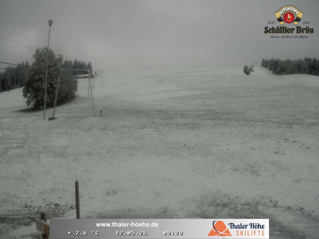 Archiv Foto Webcam Thalerhöhe bei Immenstadt
