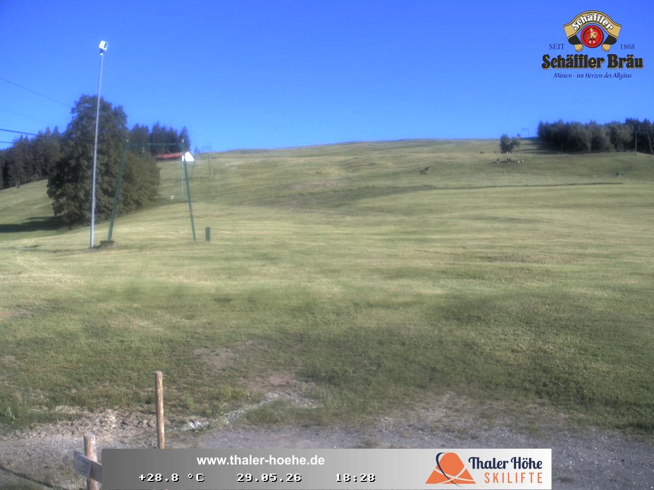 Archiv Foto Webcam Thalerhöhe bei Immenstadt