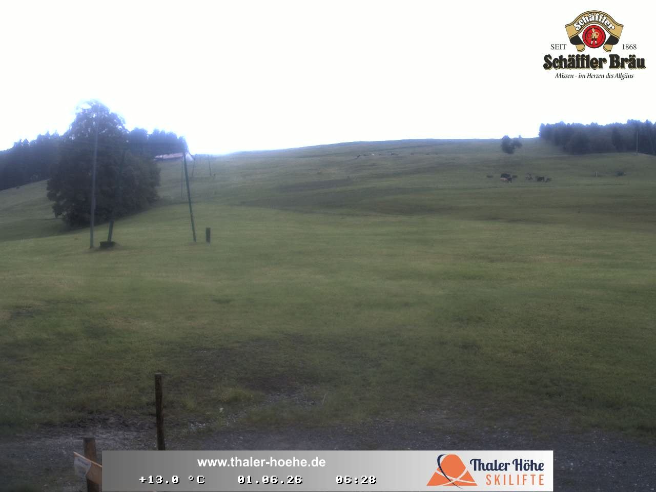 Archived image Webcam Thalerhöhe near Immenstadt