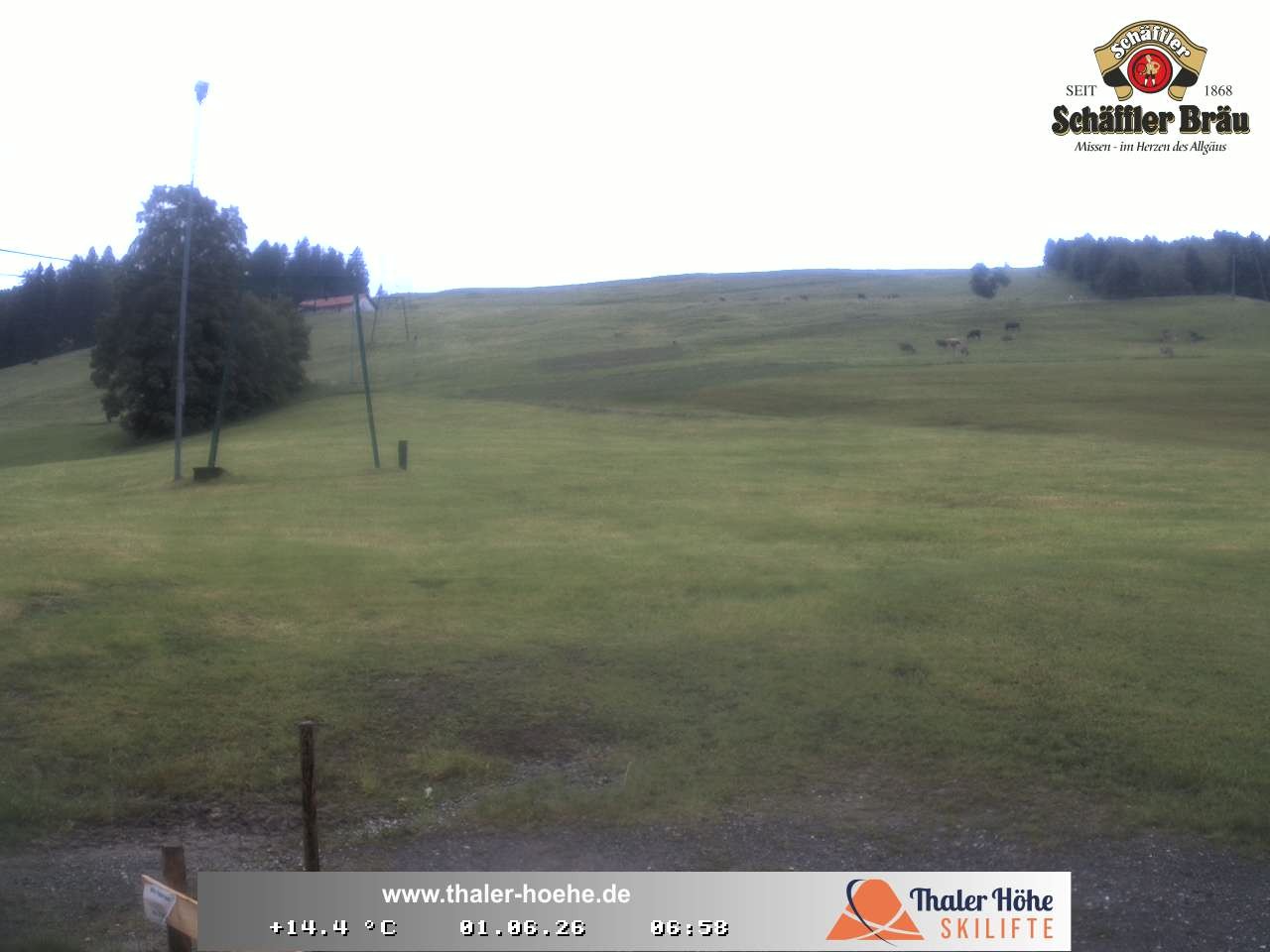 Archived image Webcam Thalerhöhe near Immenstadt