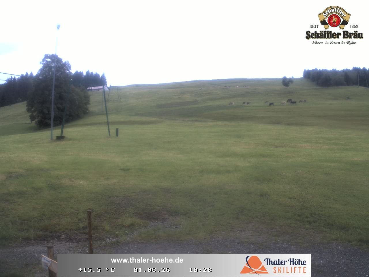 Archived image Webcam Thalerhöhe near Immenstadt