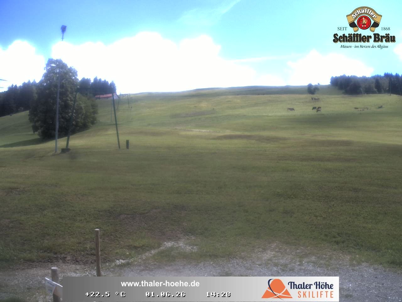 Archived image Webcam Thalerhöhe near Immenstadt