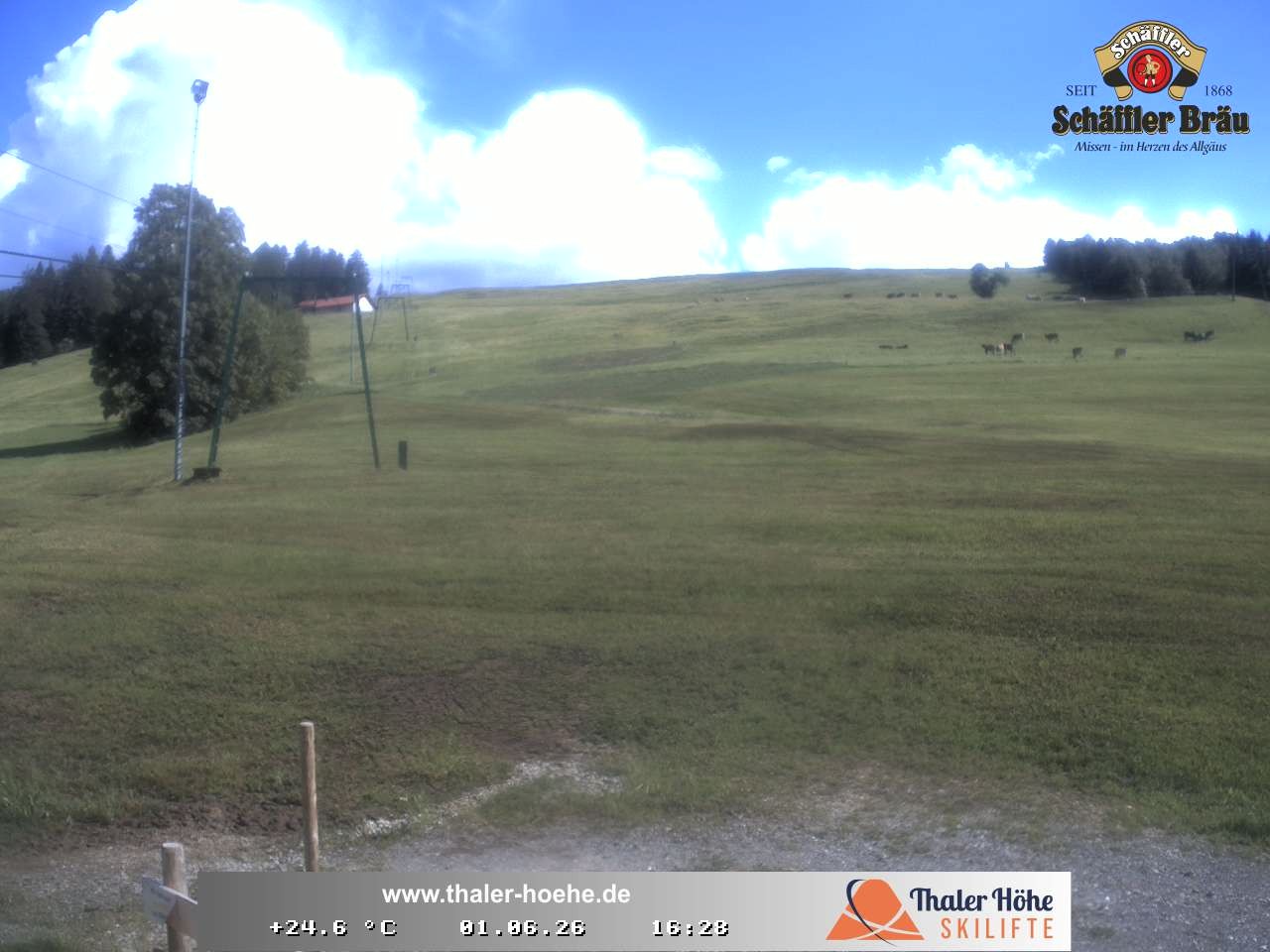 Archived image Webcam Thalerhöhe near Immenstadt