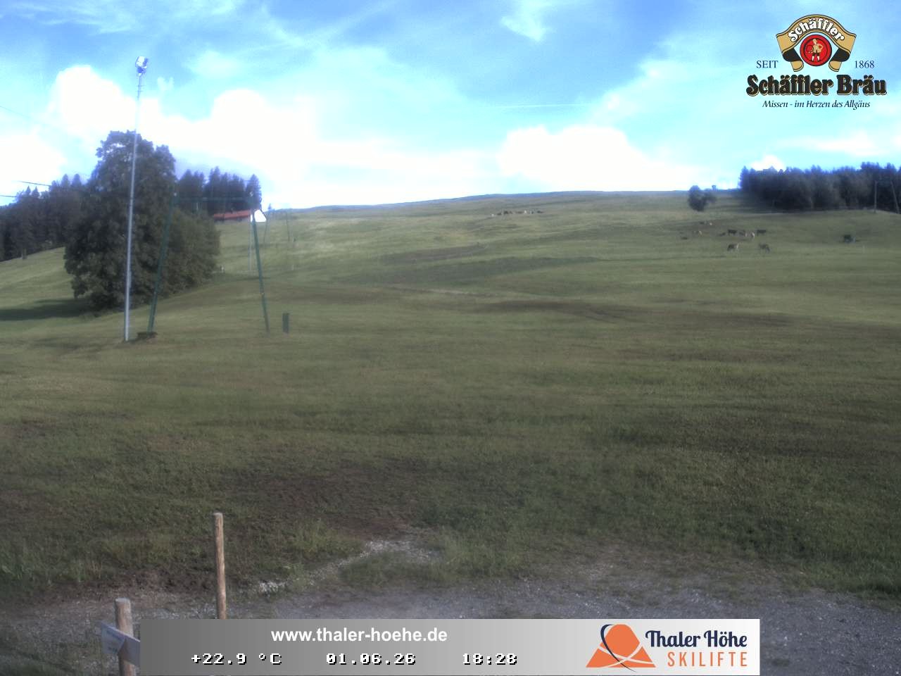 Archived image Webcam Thalerhöhe near Immenstadt