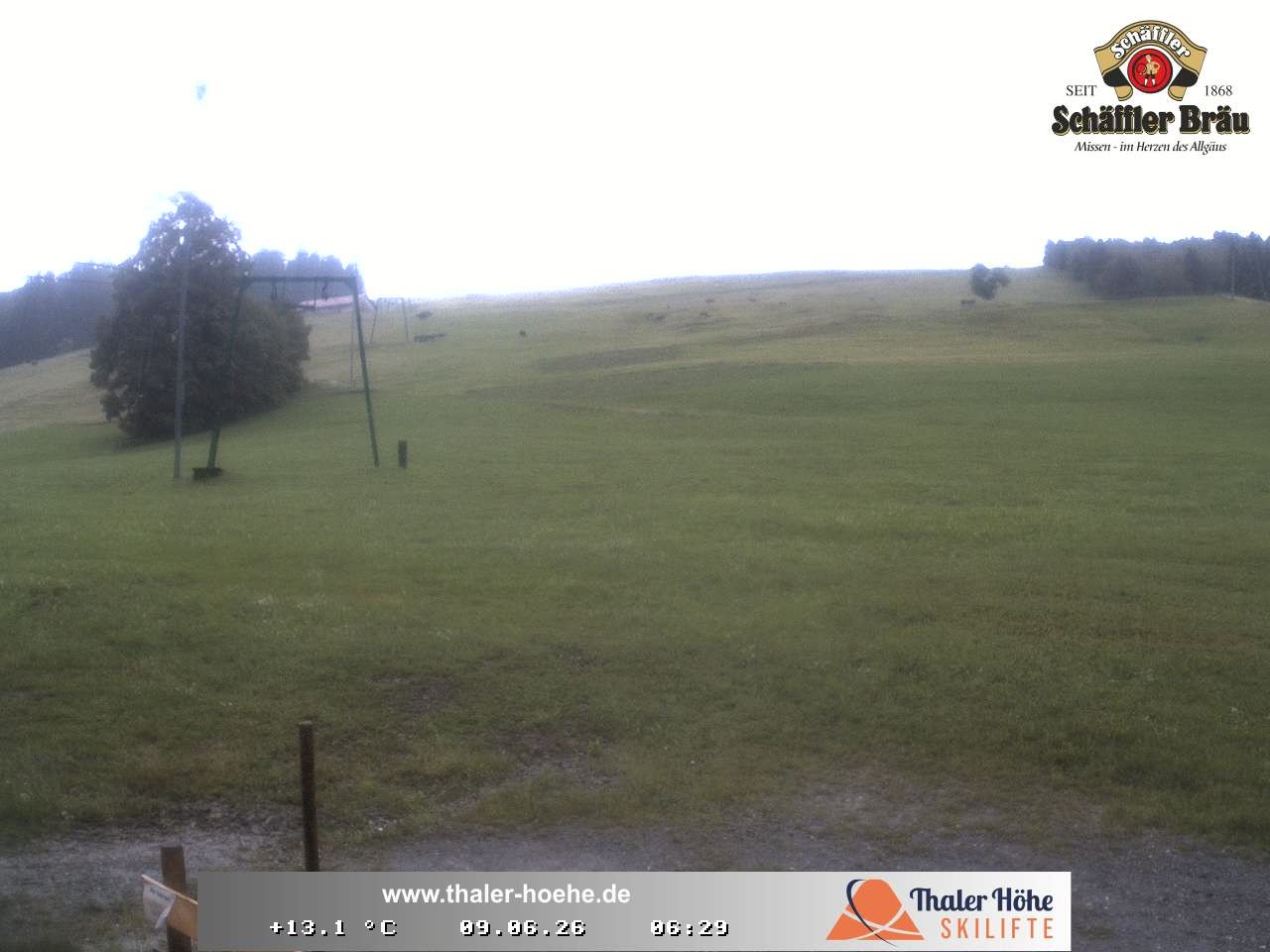Archiv Foto Webcam Thalerhöhe bei Immenstadt
