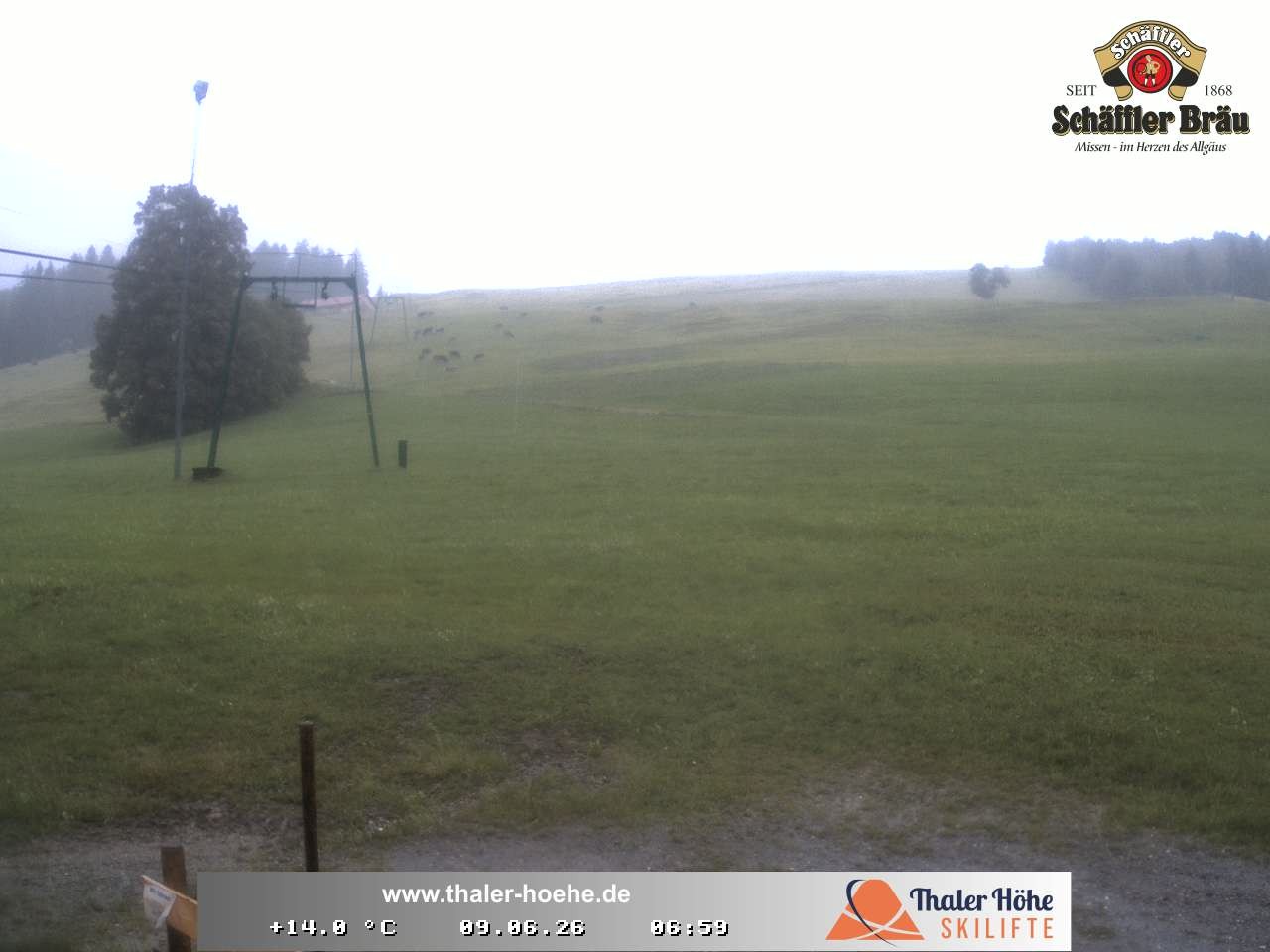 Archiv Foto Webcam Thalerhöhe bei Immenstadt