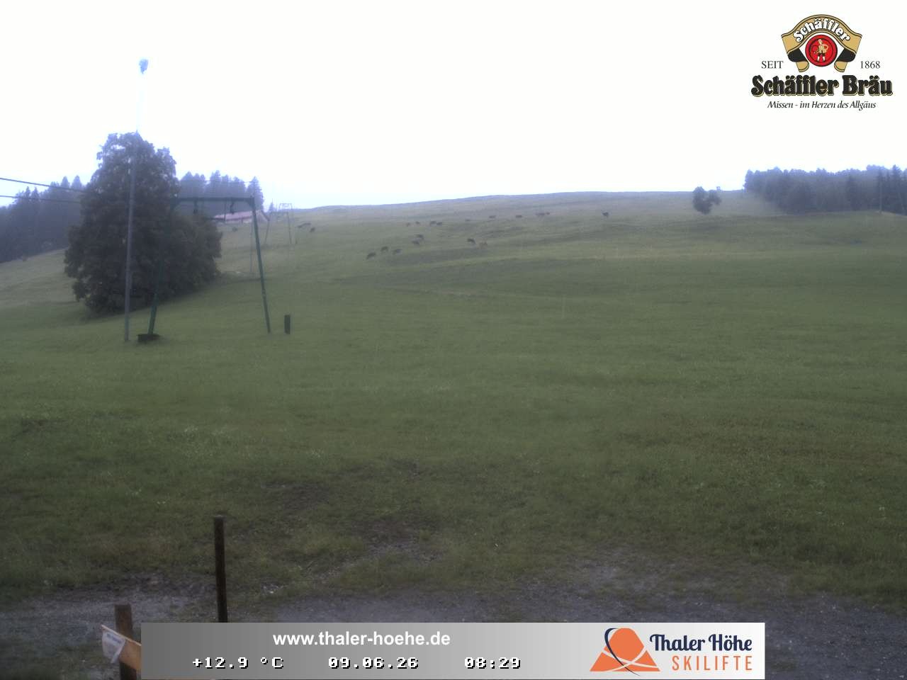 Archiv Foto Webcam Thalerhöhe bei Immenstadt