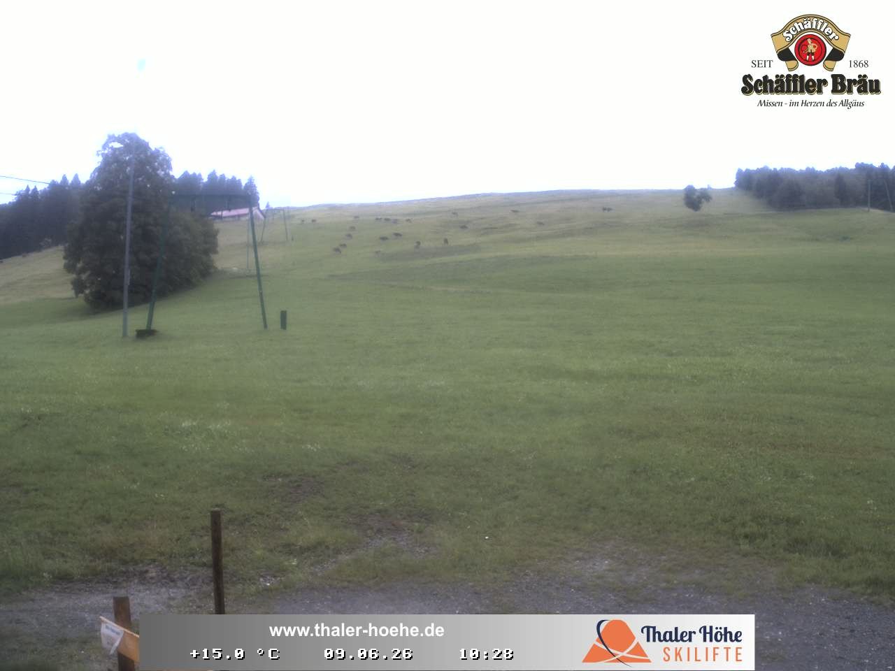Archiv Foto Webcam Thalerhöhe bei Immenstadt