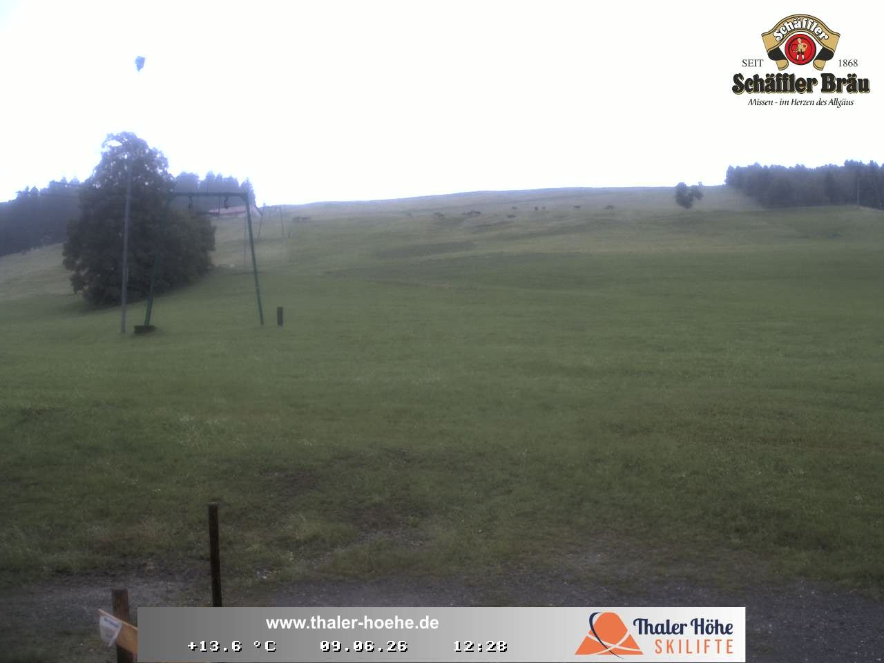 Archiv Foto Webcam Thalerhöhe bei Immenstadt