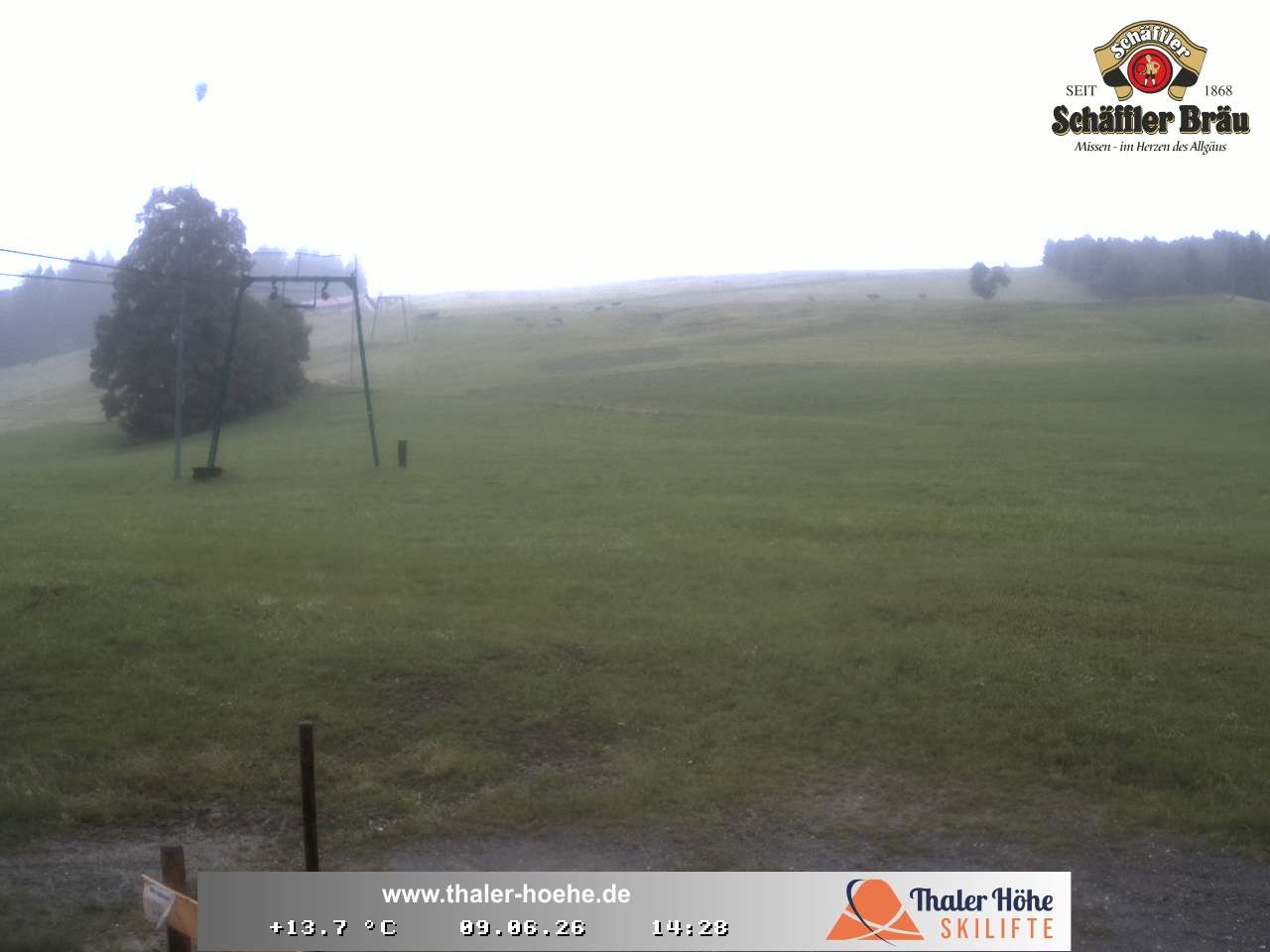Archiv Foto Webcam Thalerhöhe bei Immenstadt
