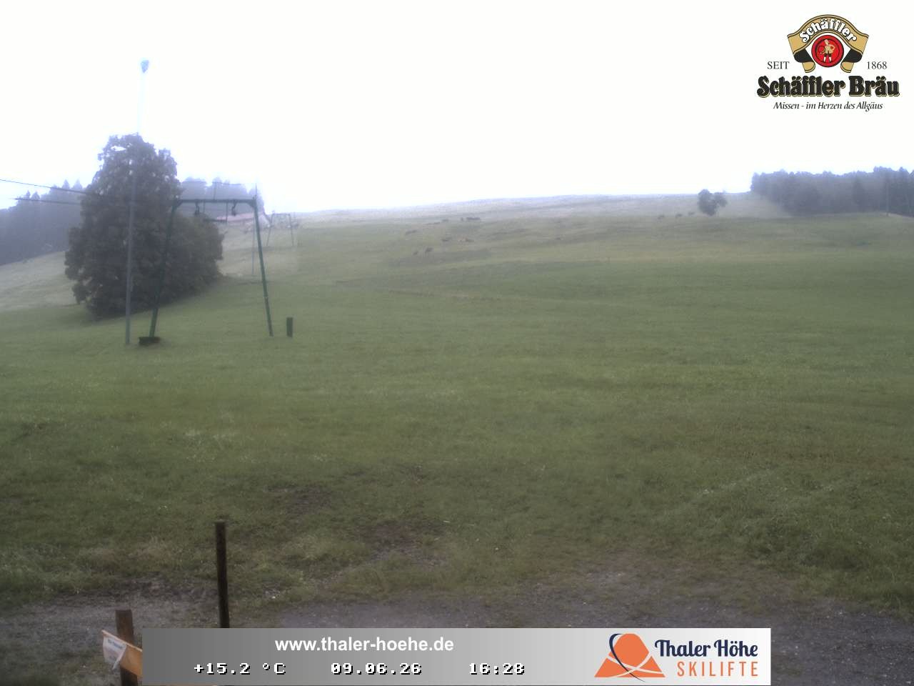 Archiv Foto Webcam Thalerhöhe bei Immenstadt