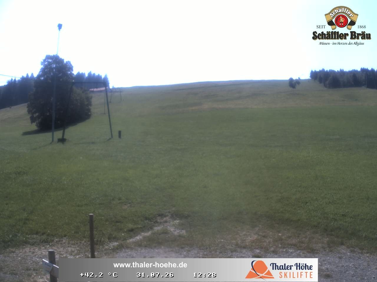 Archiv Foto Webcam Thalerhöhe bei Immenstadt