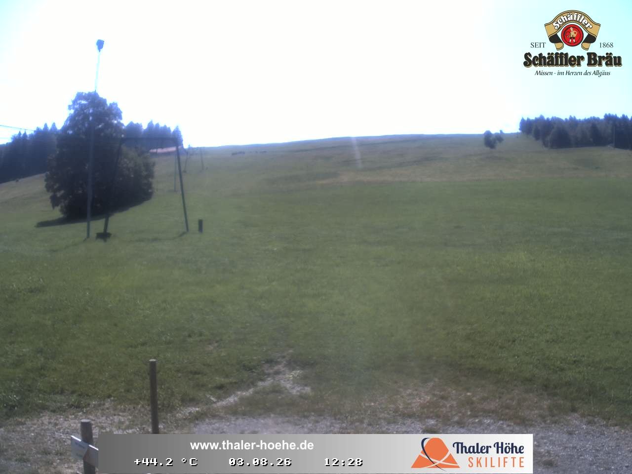 Archiv Foto Webcam Thalerhöhe bei Immenstadt