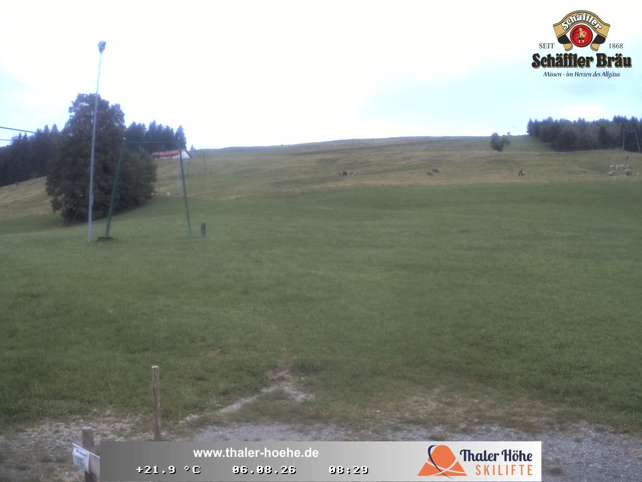 Archiv Foto Webcam Thalerhöhe bei Immenstadt