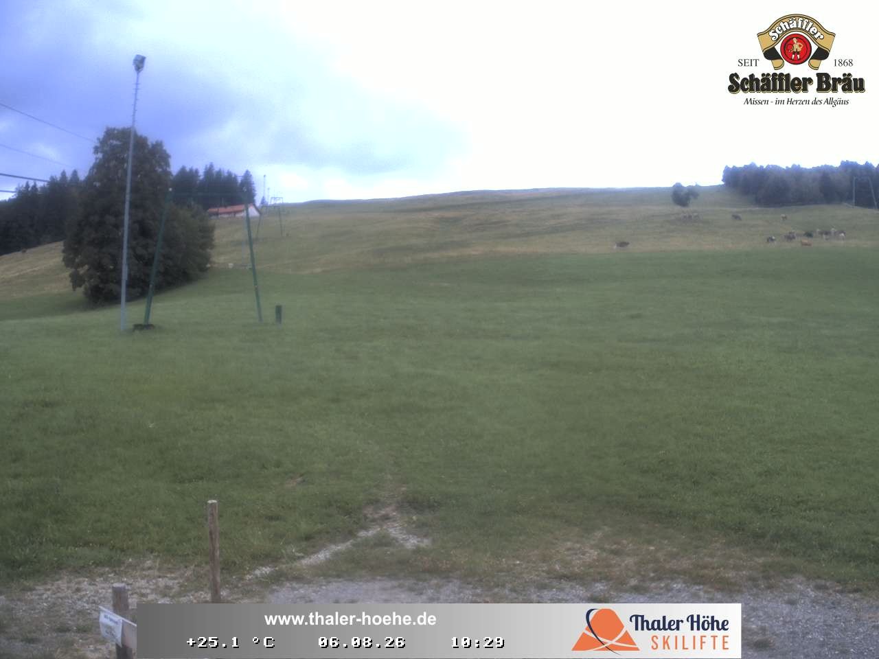 Archiv Foto Webcam Thalerhöhe bei Immenstadt