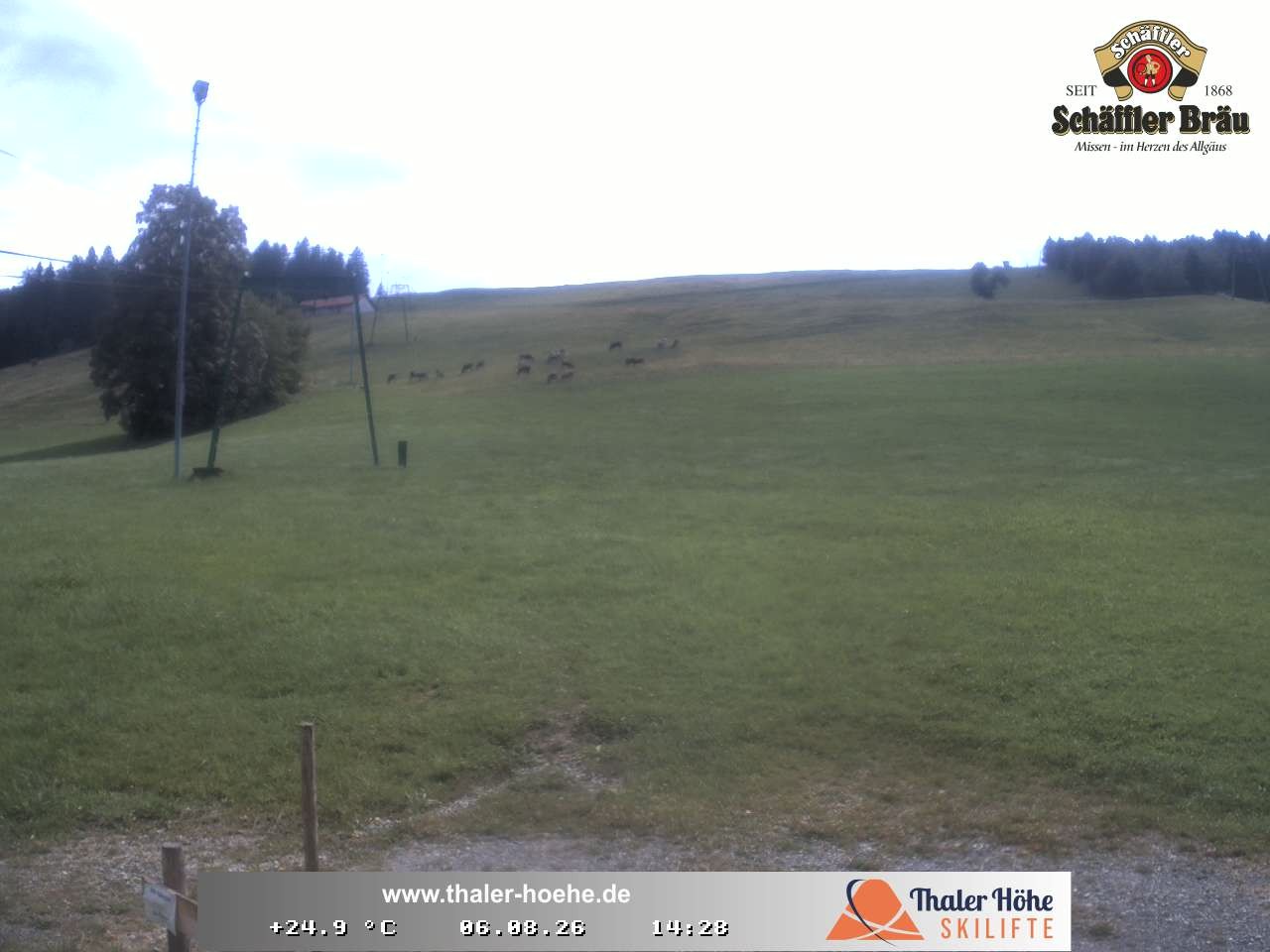 Archiv Foto Webcam Thalerhöhe bei Immenstadt