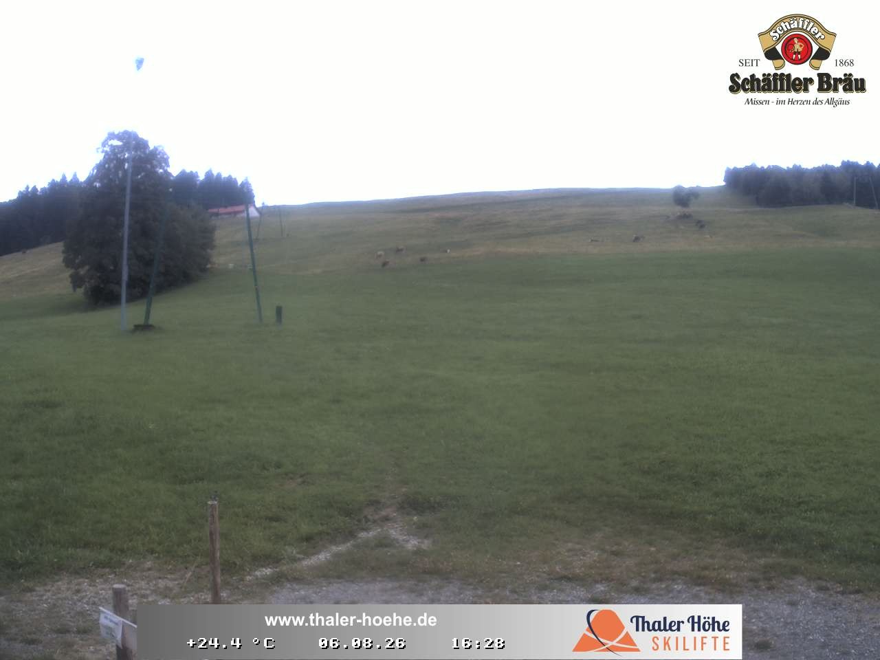 Archiv Foto Webcam Thalerhöhe bei Immenstadt