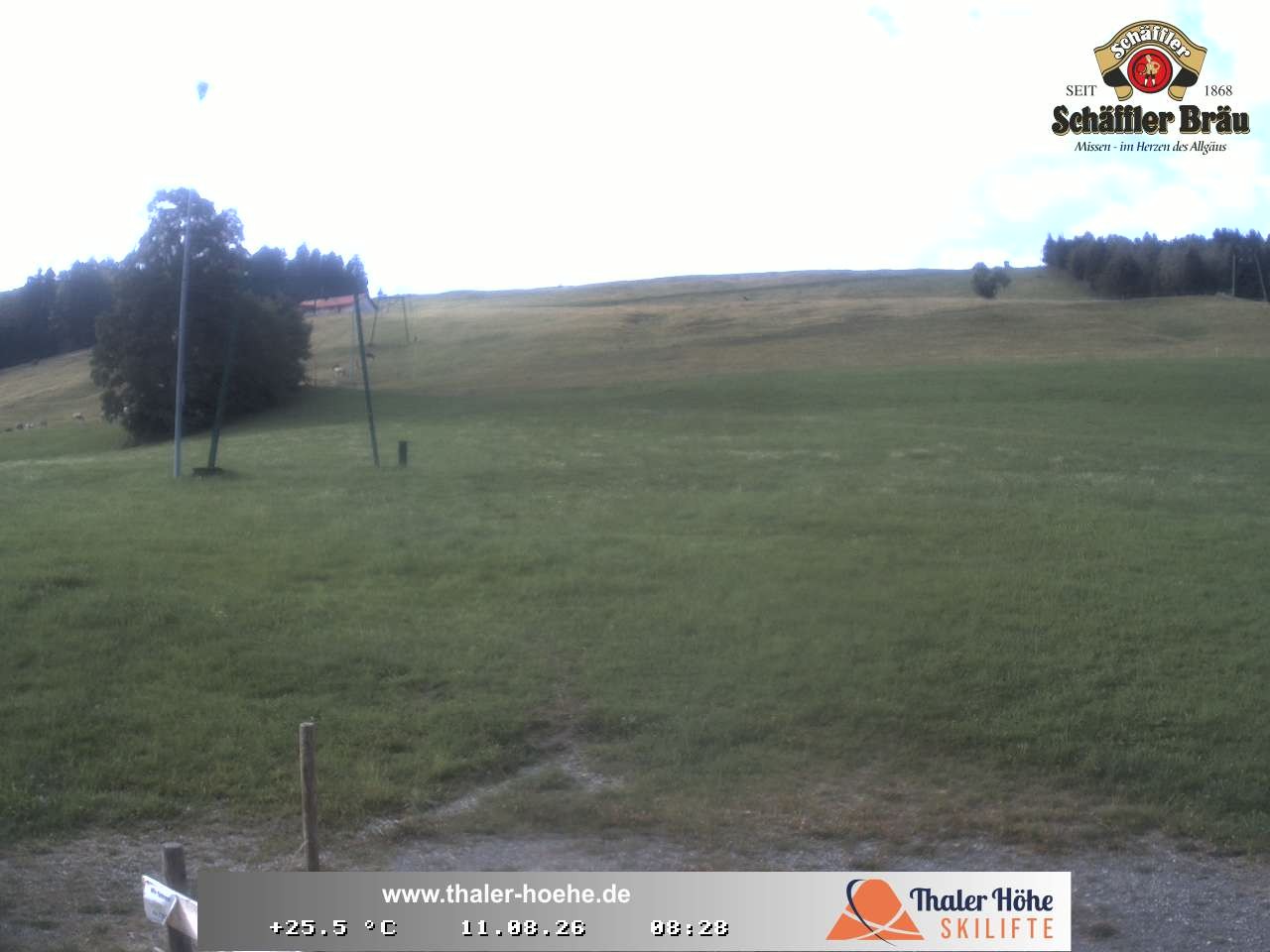 Archiv Foto Webcam Thalerhöhe bei Immenstadt