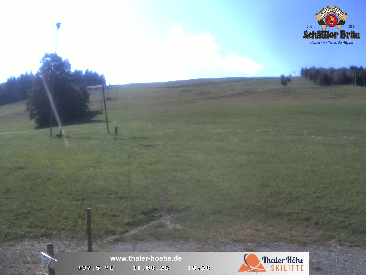 Archiv Foto Webcam Thalerhöhe bei Immenstadt