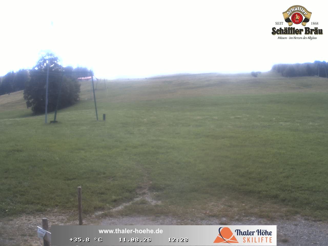 Archiv Foto Webcam Thalerhöhe bei Immenstadt