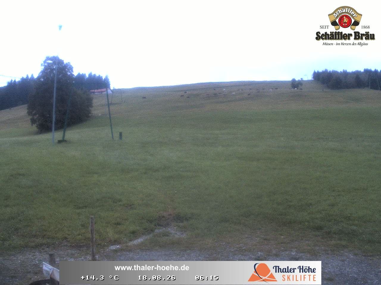 Archiv Foto Webcam Thalerhöhe bei Immenstadt