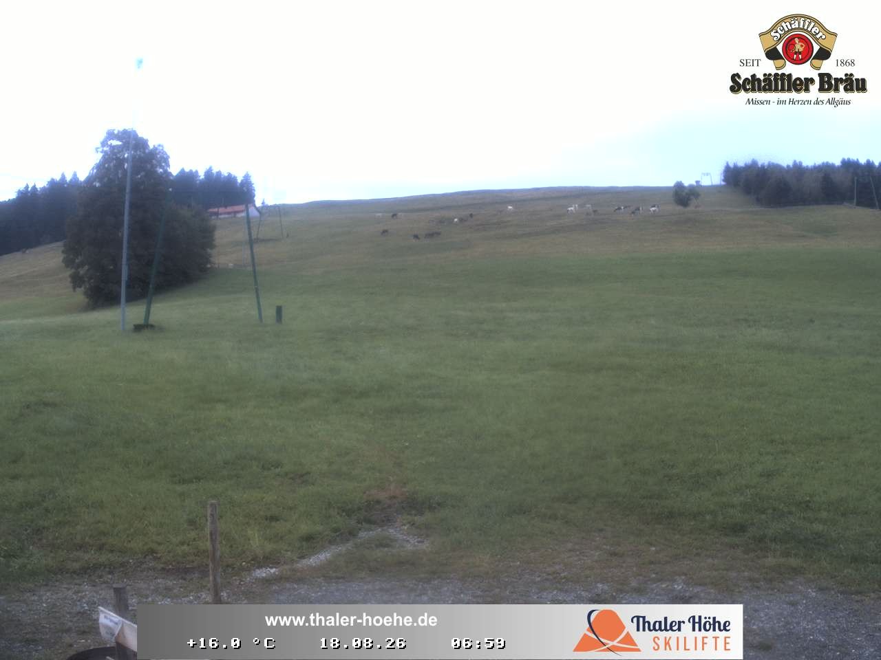 Archiv Foto Webcam Thalerhöhe bei Immenstadt
